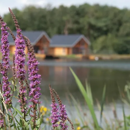 Casa de Férias Gorgeous In With Wifi