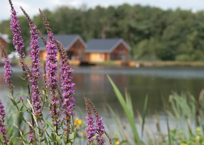 度假居 Gorgeous In With Wifi